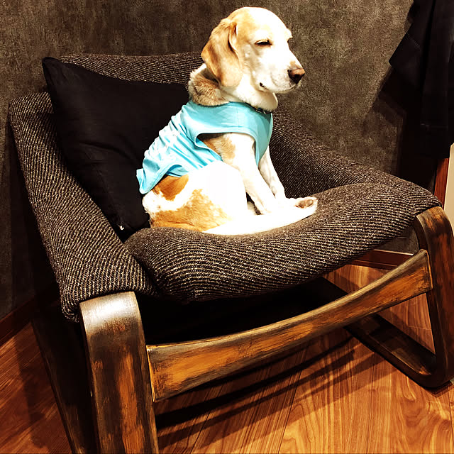 chouchouさんの実例写真
