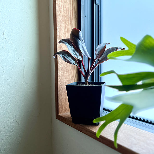 Kikko.さんの実例写真