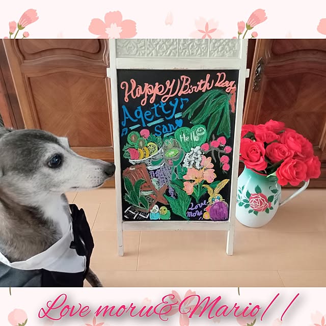 moruさんの部屋