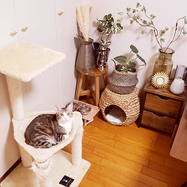 nonさんの実例写真
