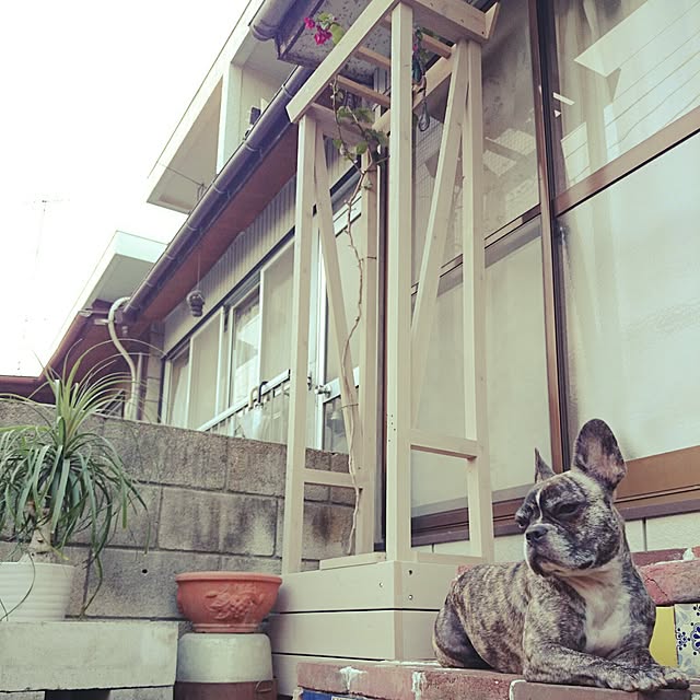 Taekoさんの実例写真