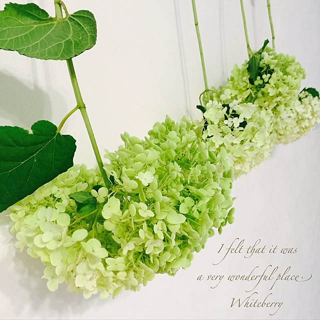 Whiteberryさんの実例写真