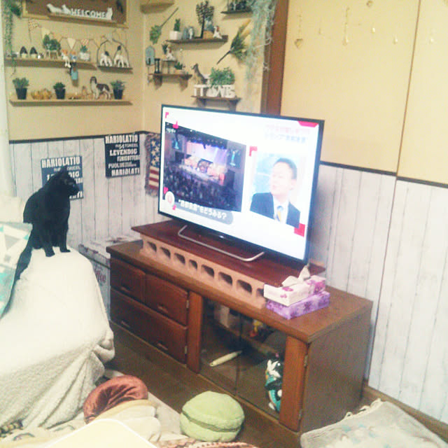 Tomopさんの実例写真