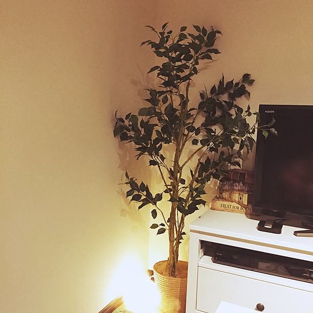 minaさんの実例写真