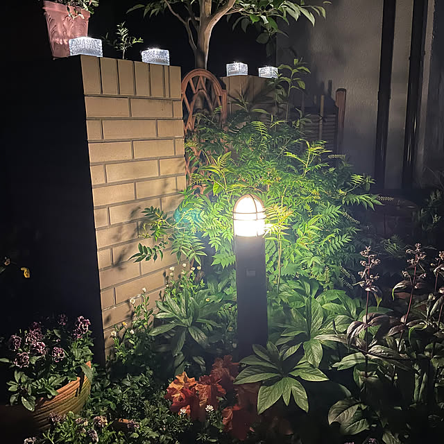 mamizaさんの部屋