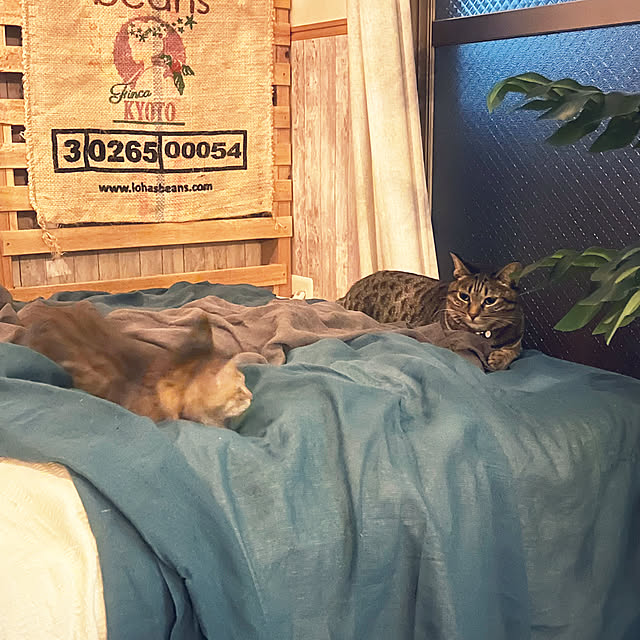Mさんの部屋