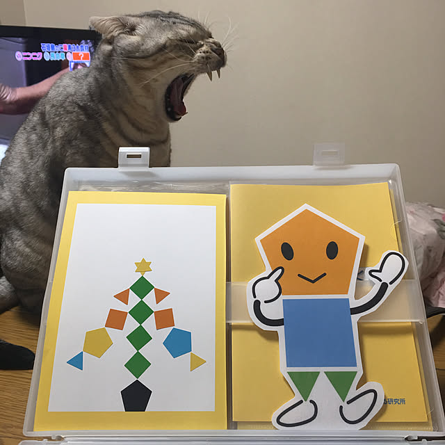 hanachanさんの実例写真