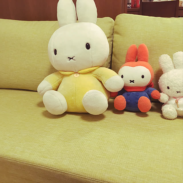 hiba_arborvitaeさんの実例写真