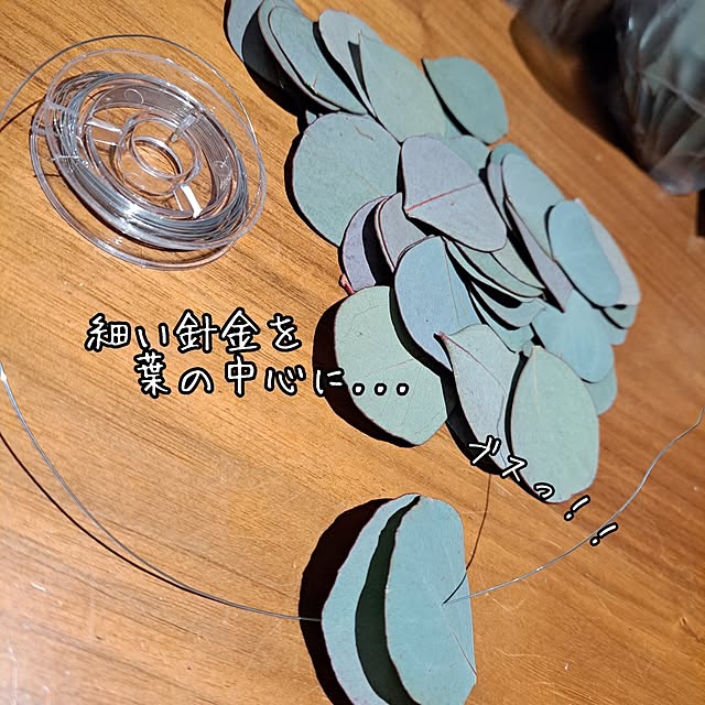 kankanmom_horn_5catsさんの部屋