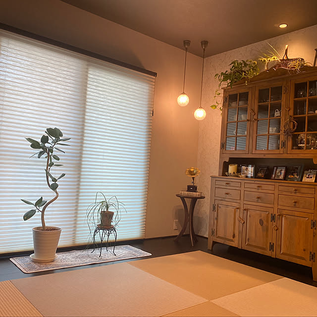 yumirilさんの部屋