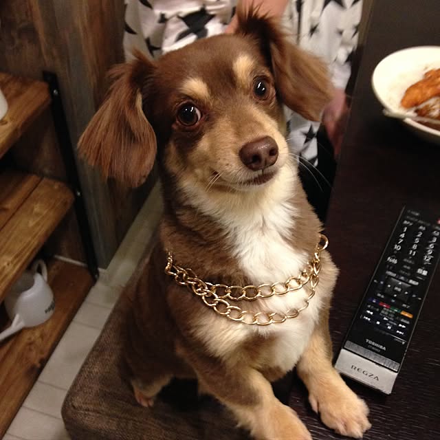 rikakoさんの実例写真
