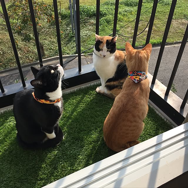 mtkさんの実例写真