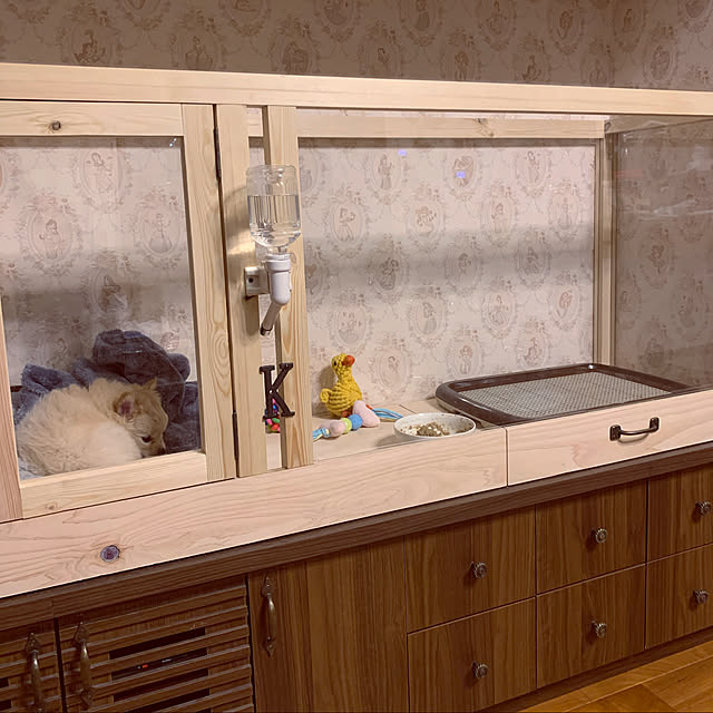 Ayumiさんの実例写真