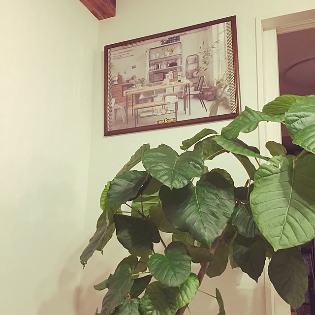 m.chanさんの実例写真
