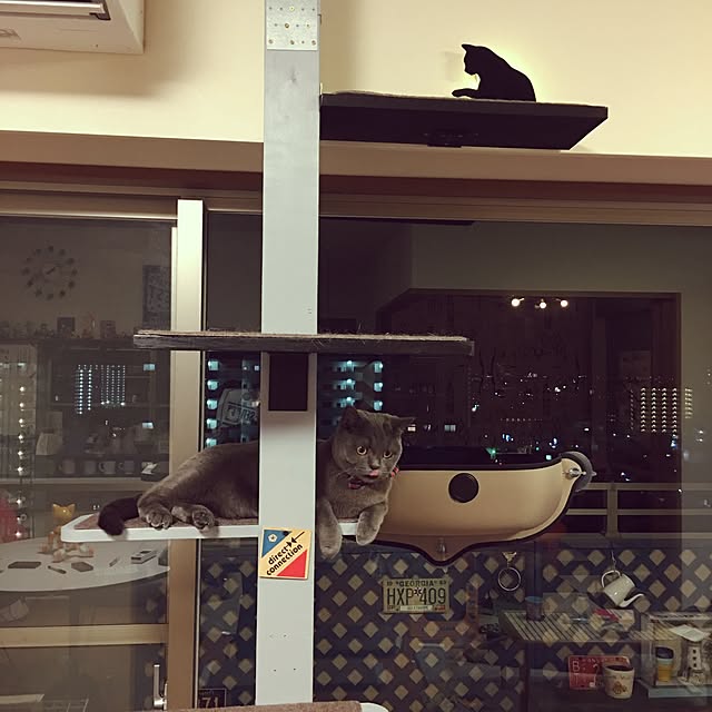 Shojiさんの実例写真