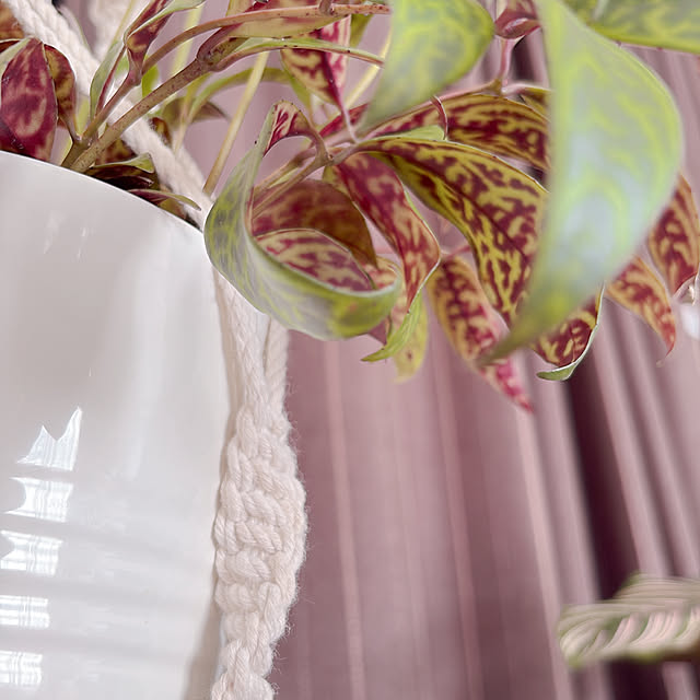 chiisgardenさんの部屋