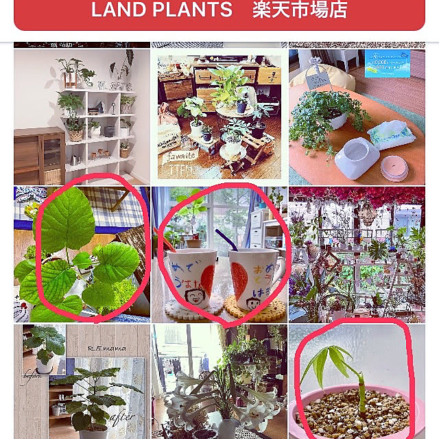 takakoさんの実例写真
