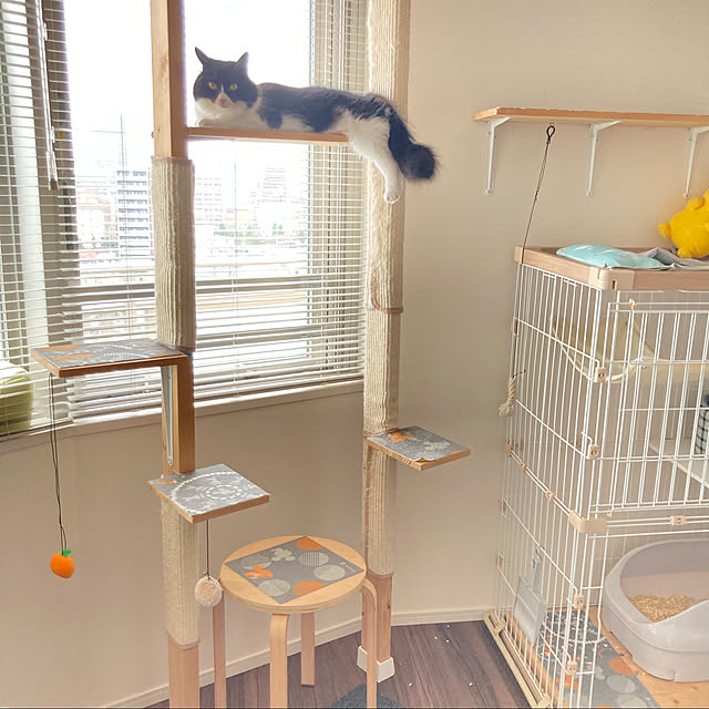 yonejiさんの実例写真