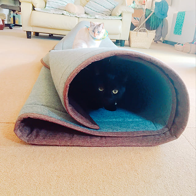nanaさんの実例写真