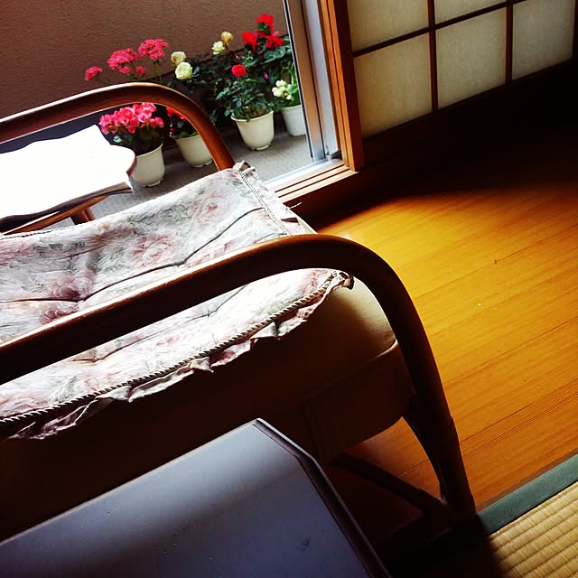 実例写真