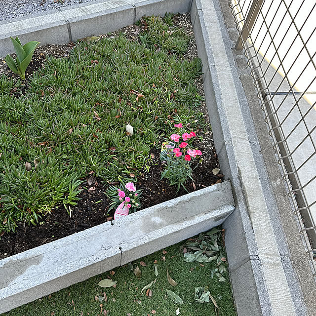 Hさんの部屋
