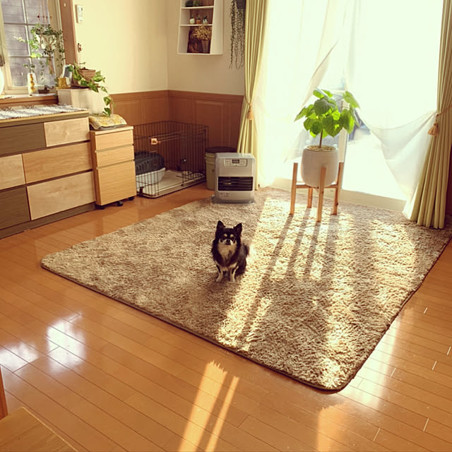 HAPPYさんの実例写真