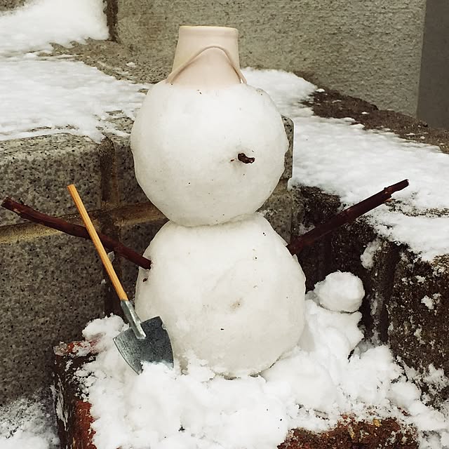 viviさんの実例写真