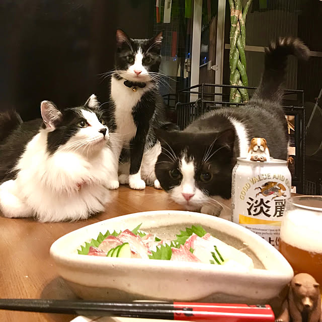 butachanさんの実例写真