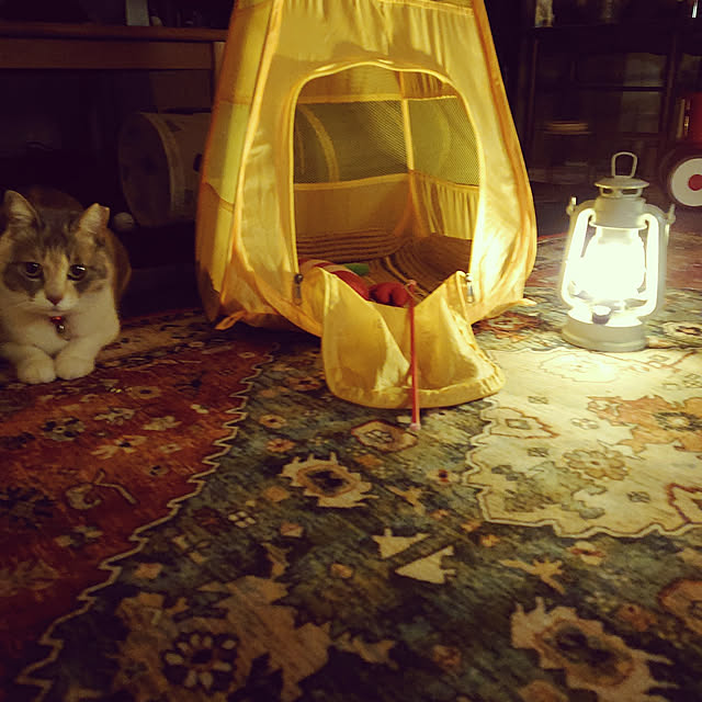 fukuさんの実例写真