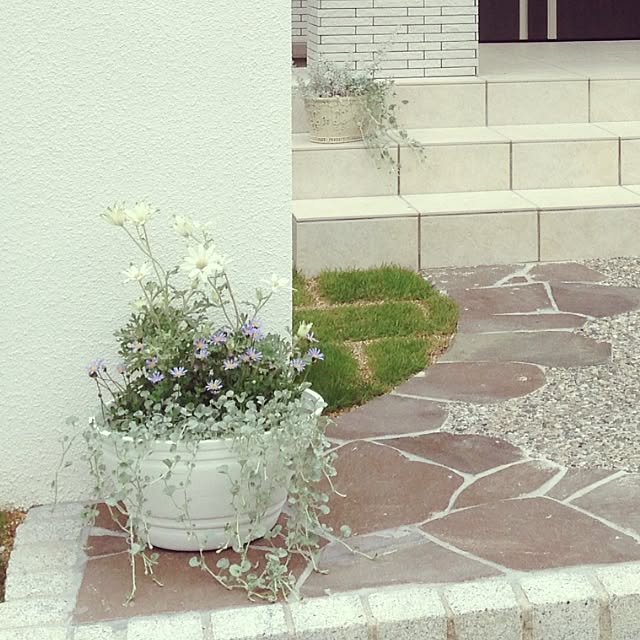 Yukoさんの実例写真