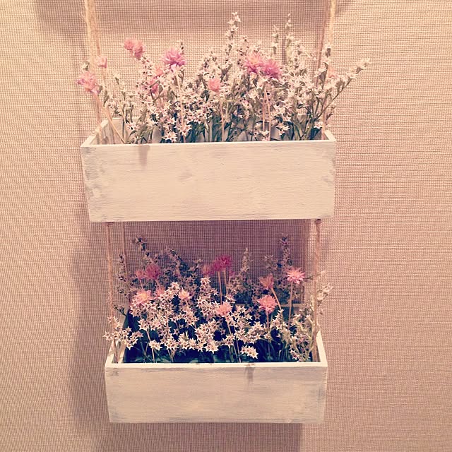 momotaさんの実例写真