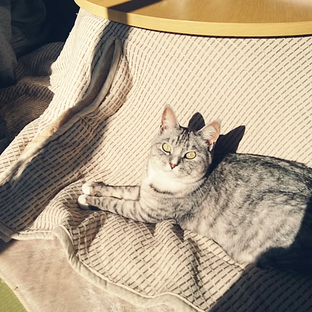 moonさんの実例写真
