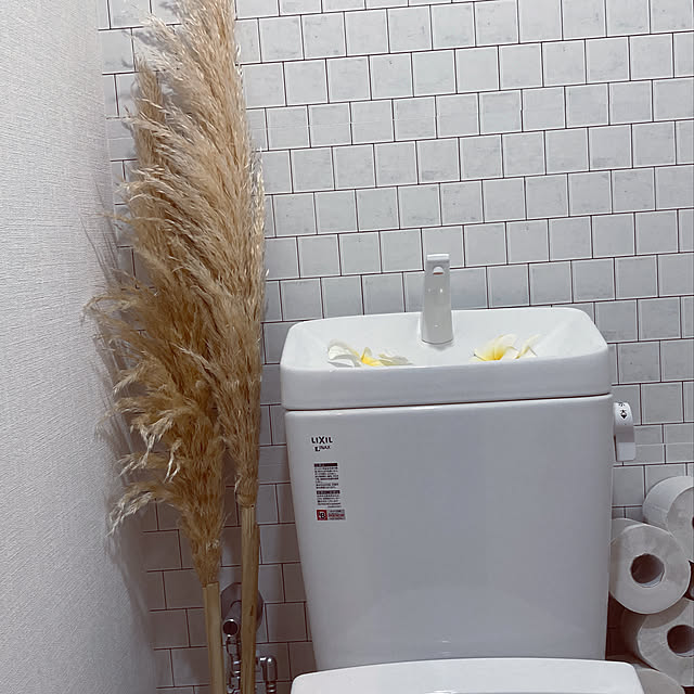 Asukaさんの実例写真