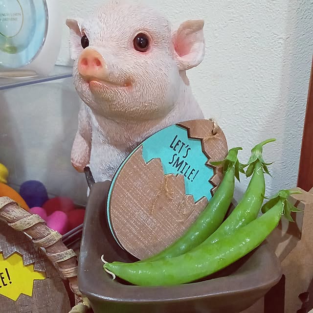mocomocoさんの部屋