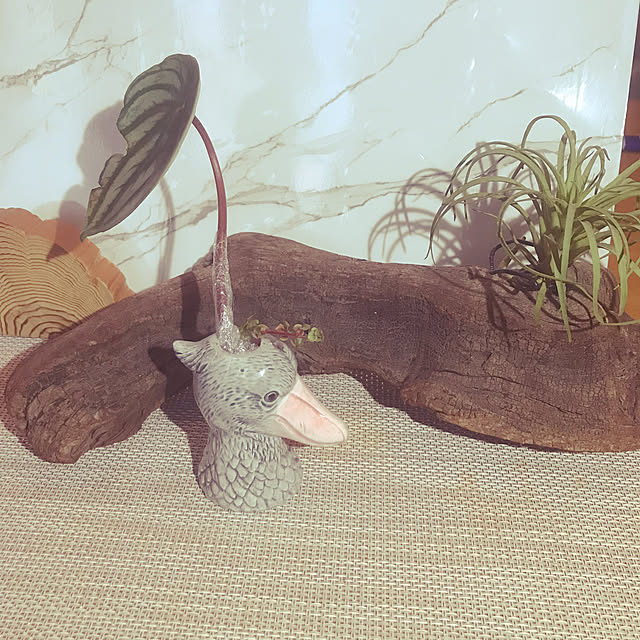 kou-kitiさんの部屋