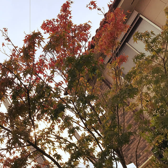 flowerさんの実例写真