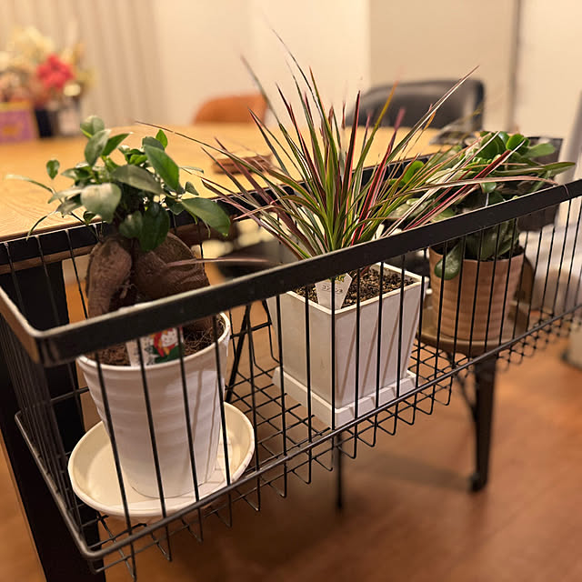 keiさんの実例写真