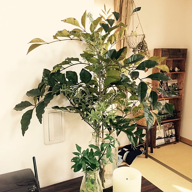 hanahanaさんの実例写真