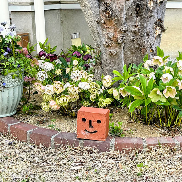 koereeさんの部屋