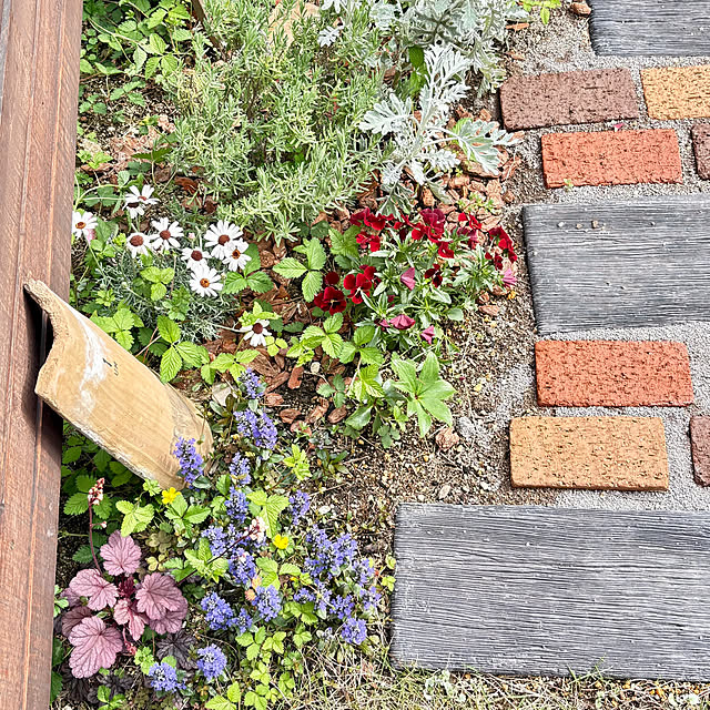 mami3さんの実例写真