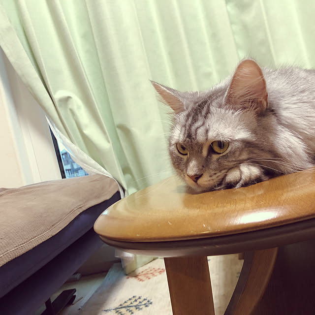 ecopanaさんの実例写真