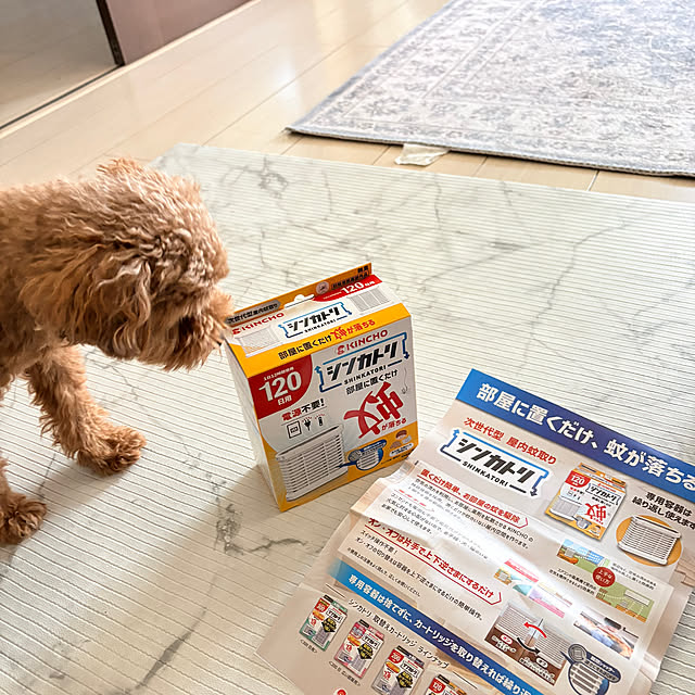 alchoさんの部屋