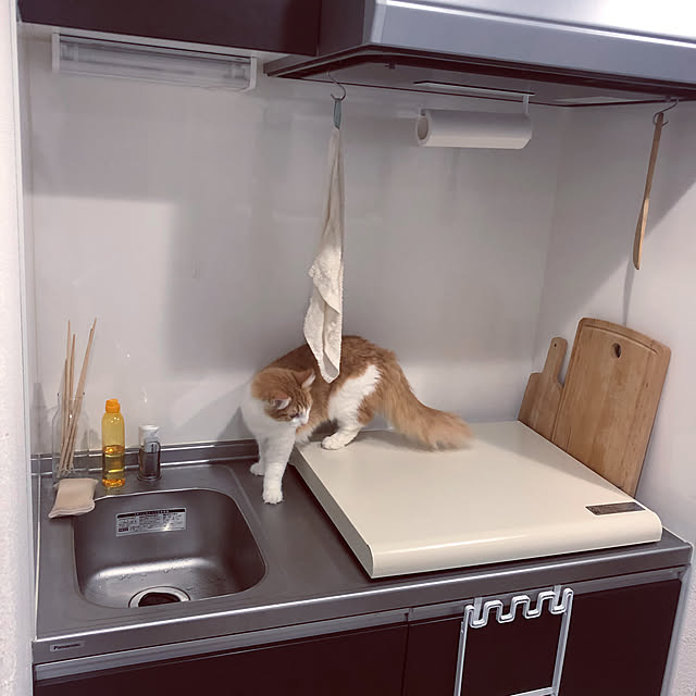 w_fox0713さんの実例写真