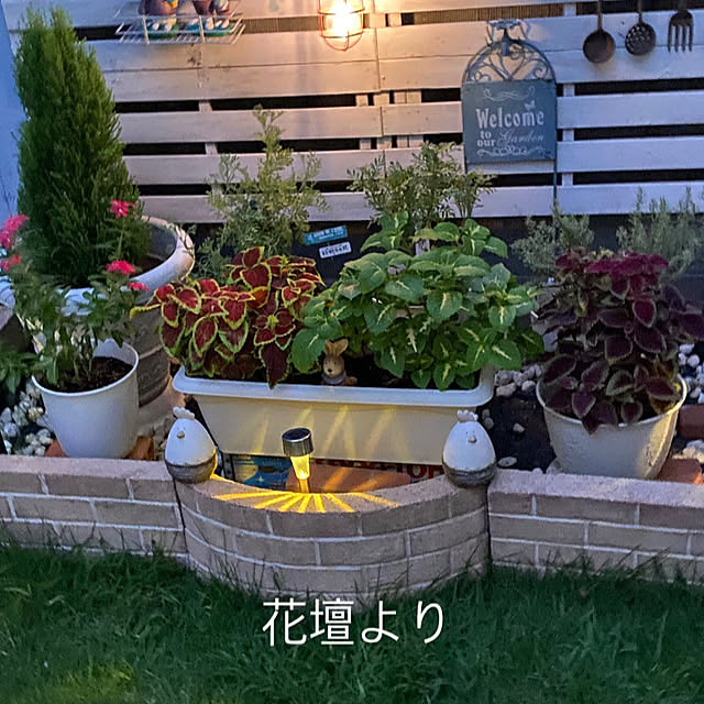 YuuKoさんの実例写真