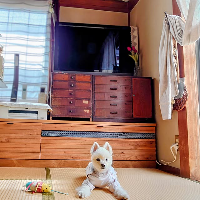akaidarumaさんの実例写真