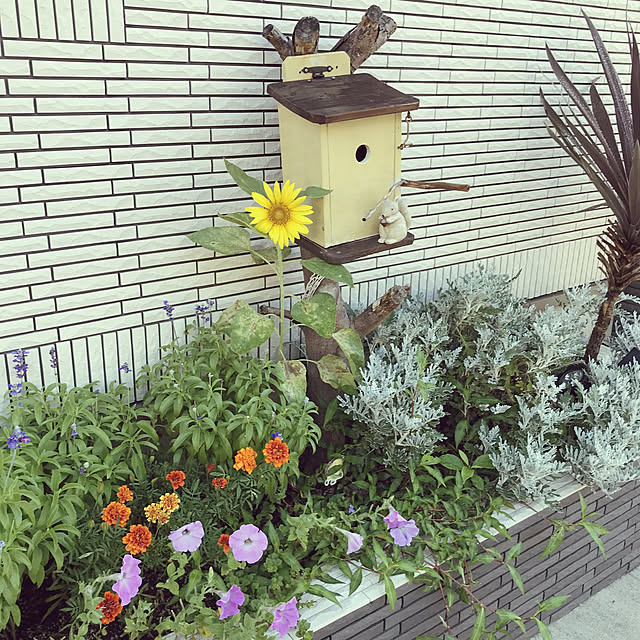 dmamaさんの実例写真