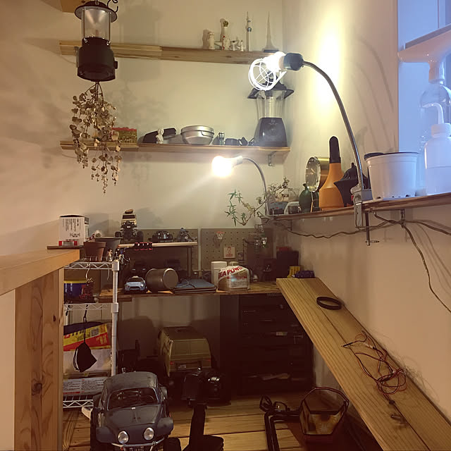 lifetoolbugさんの実例写真