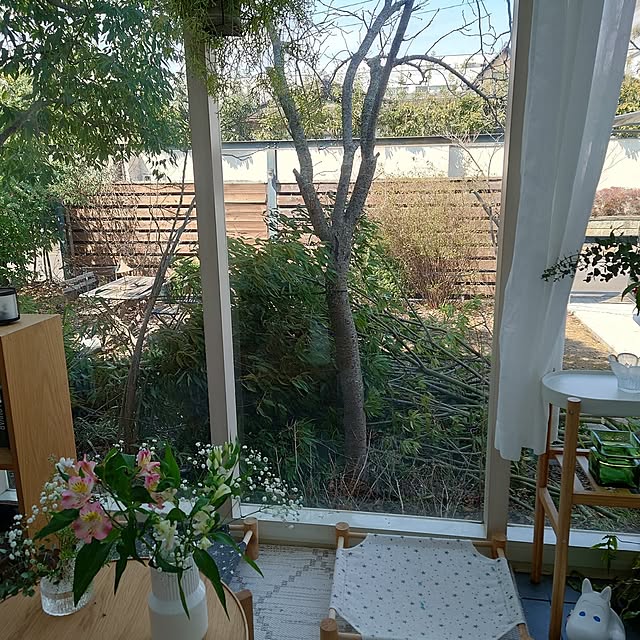 asmaさんの部屋