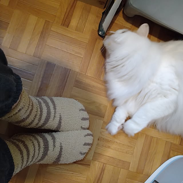 sakuko0511さんの実例写真