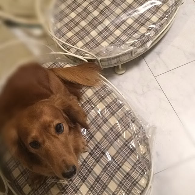 nさんの実例写真